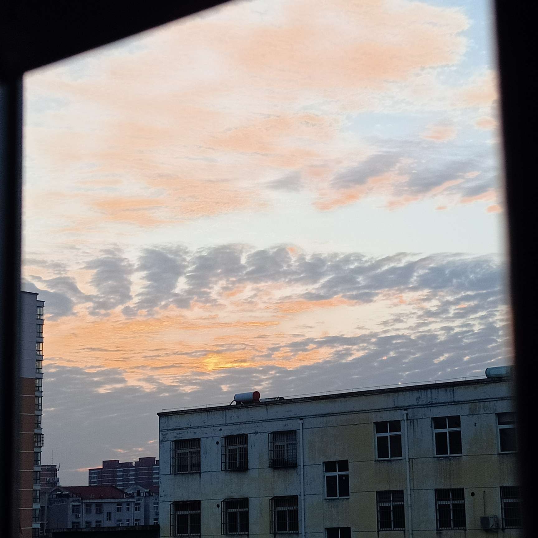 随心
