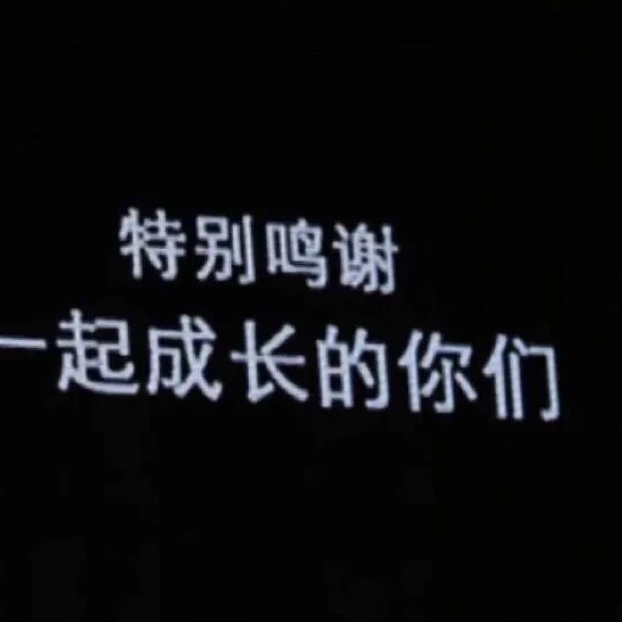 综艺语录