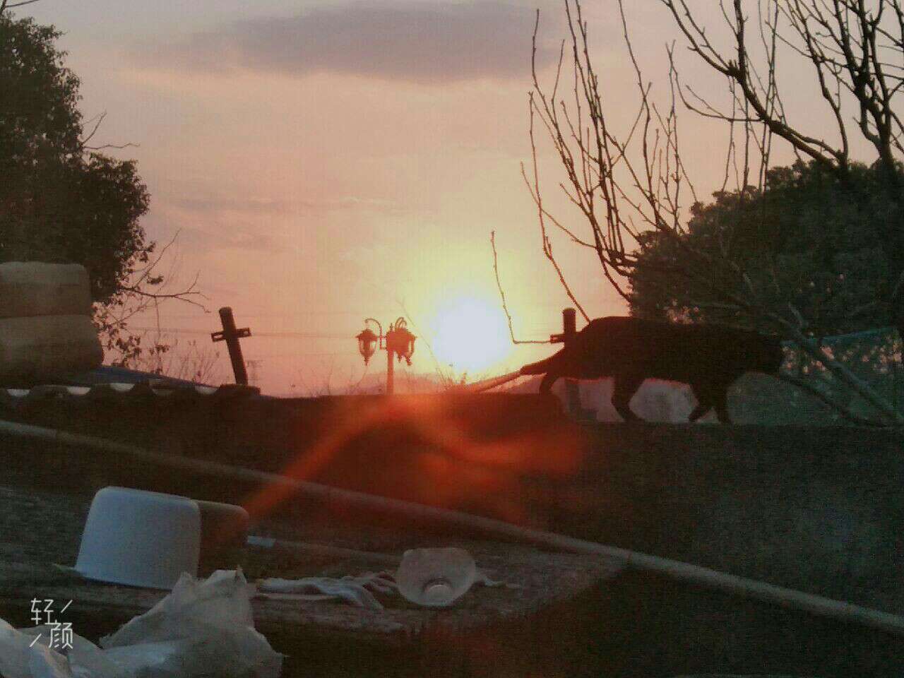 慕栀