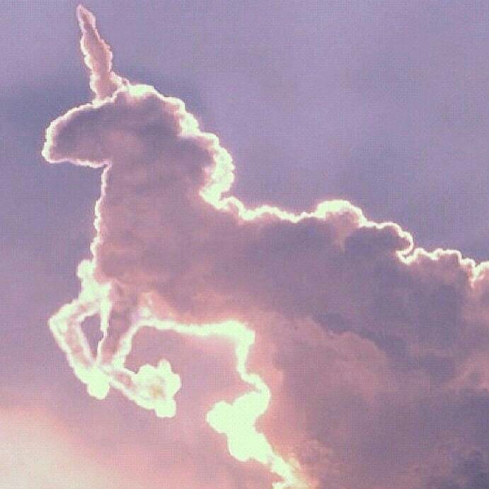 南栀向晚