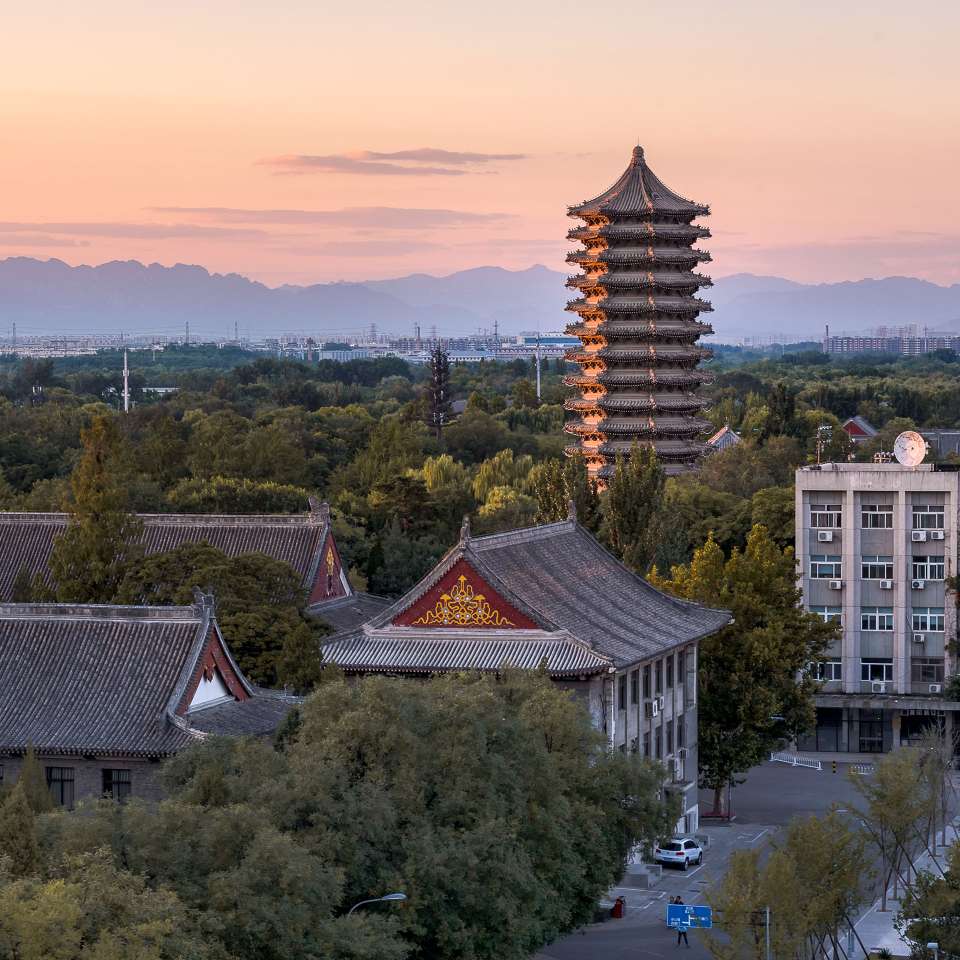 荔枝 鸡汤