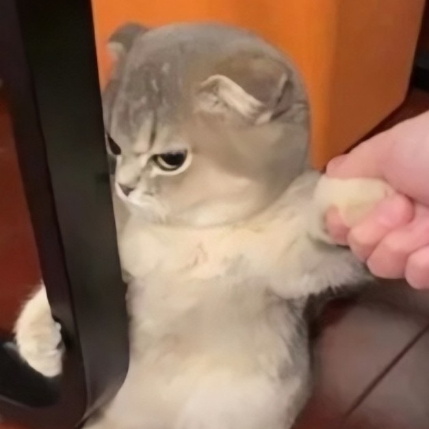 蒔颖