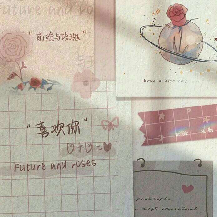 爱豆语录
