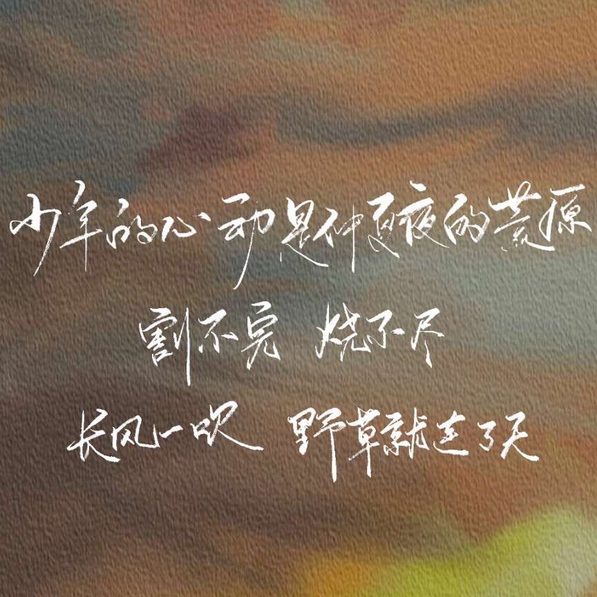 p大