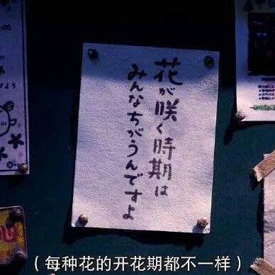 碎碎（现实）