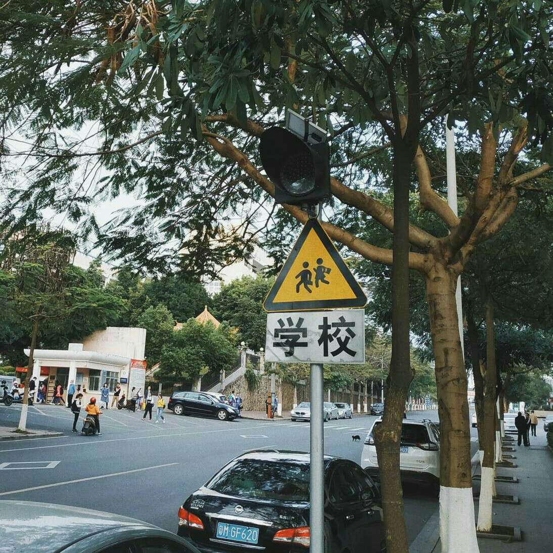 岁岁年年