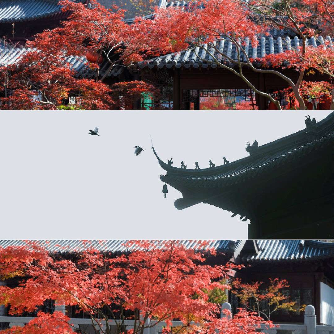 摘抄楼
