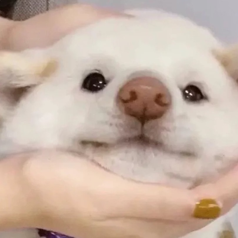 学习