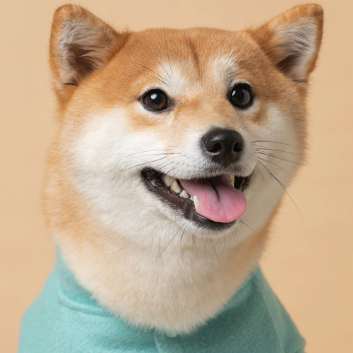 都比