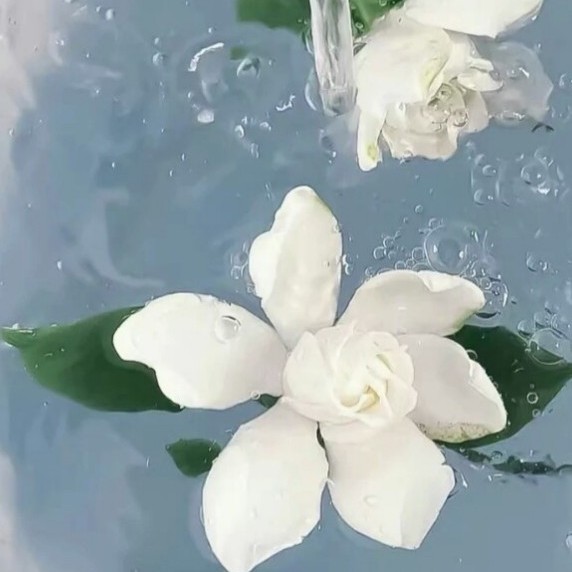 词
