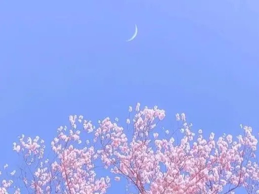 你好