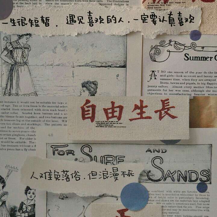 后来的我们