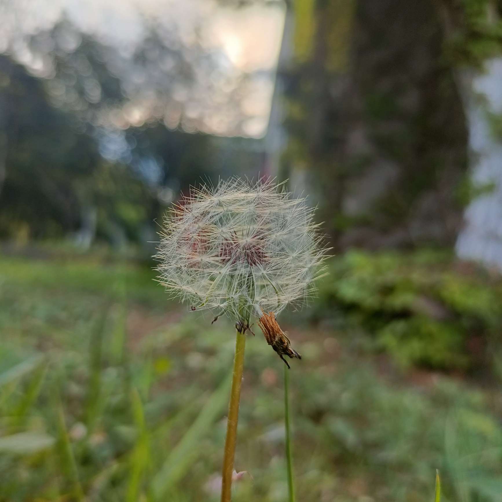默与时语