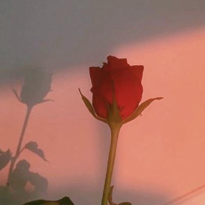 我的专辑