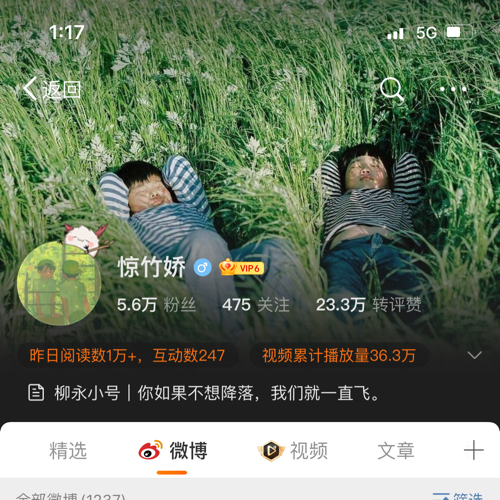 惊竹娇的诗