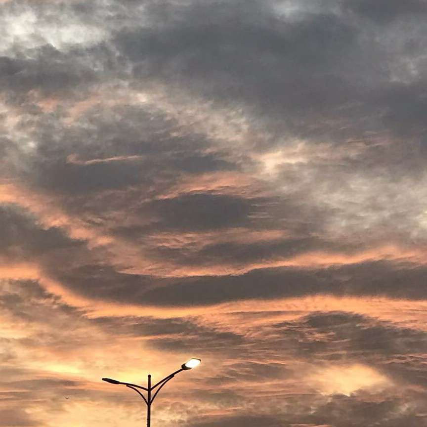句子
