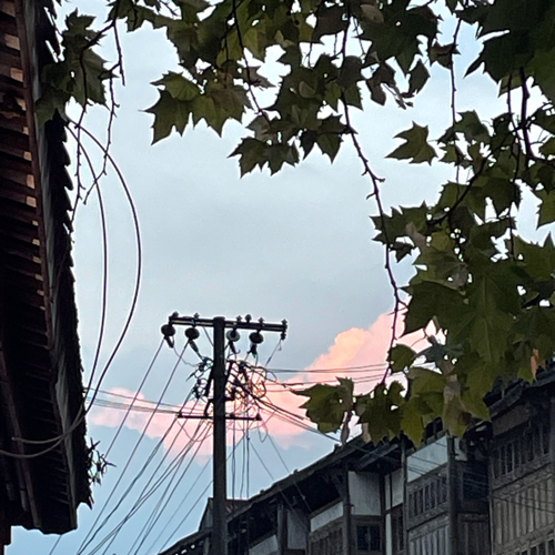 背