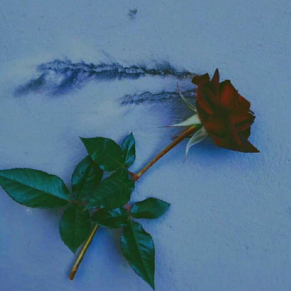 原耽