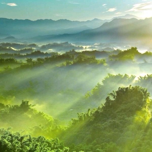 治愈