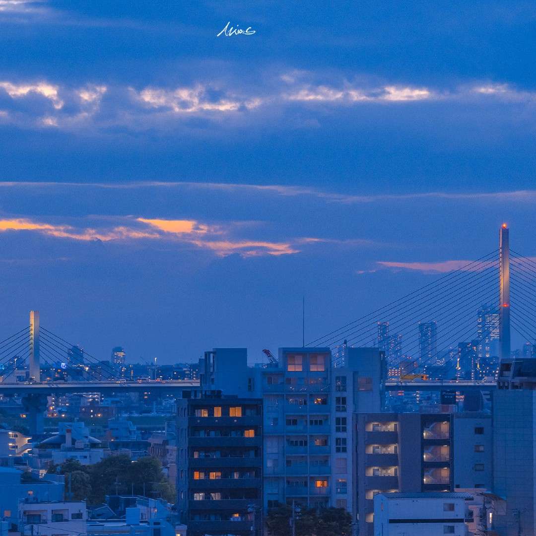 节日