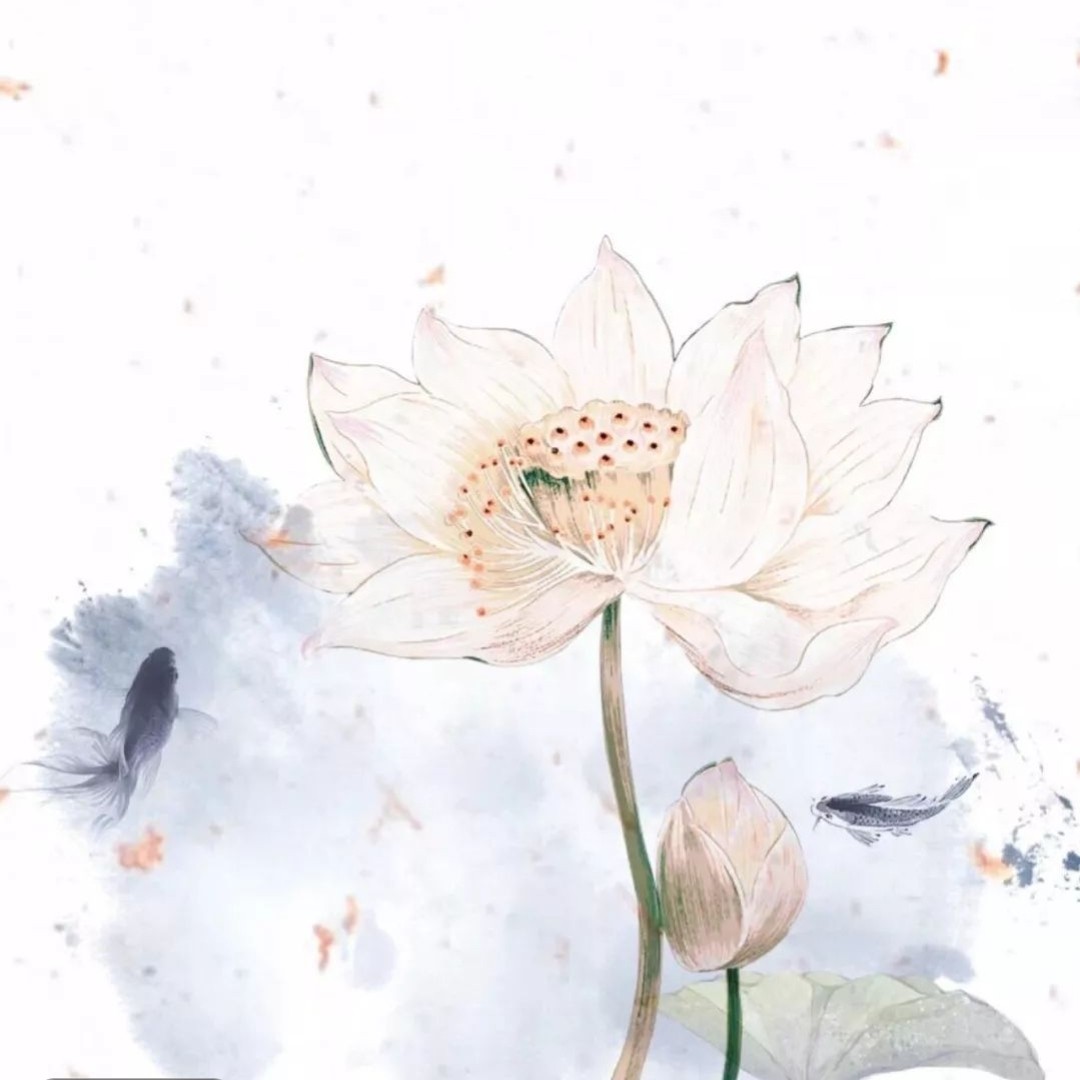 花期已至