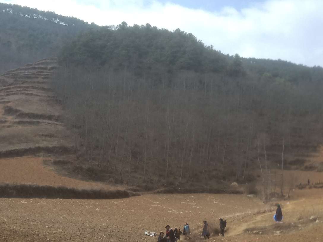认识你很高兴