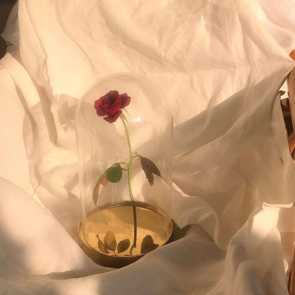 爱情宝藏文案