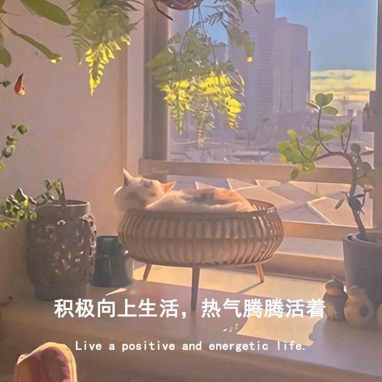 乱七八糟