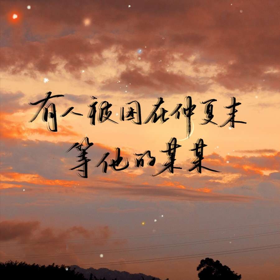 某某