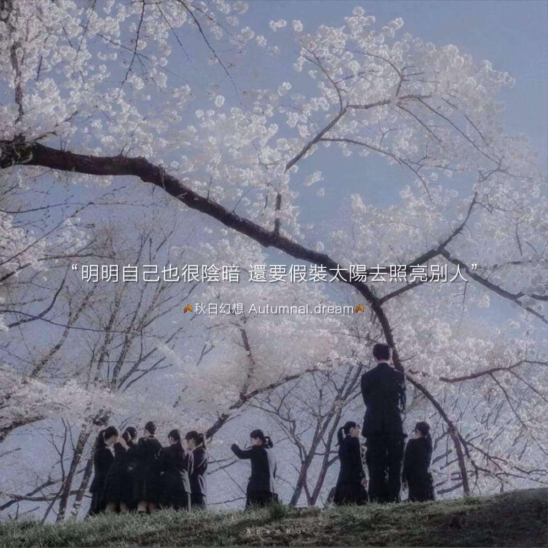 語錄用
