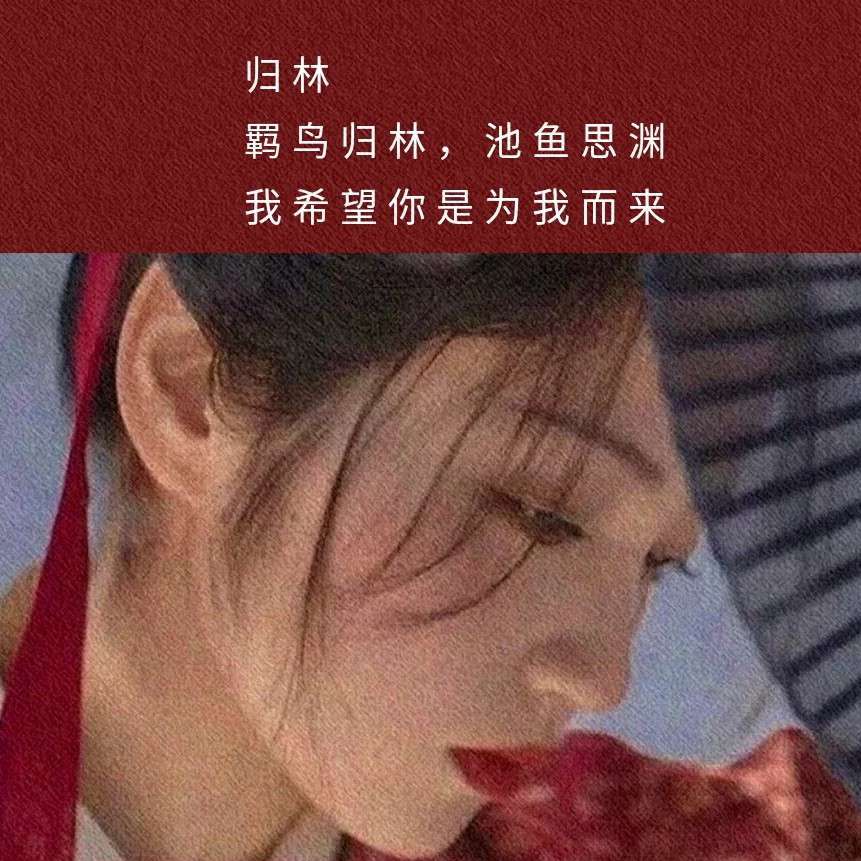 ꒰墨白.的专辑