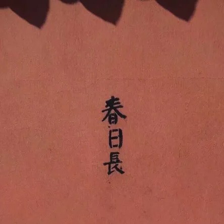 小说
