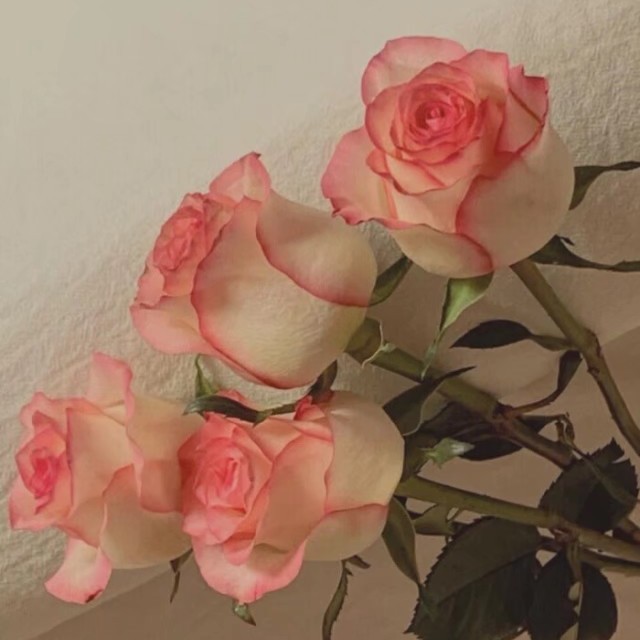 花语