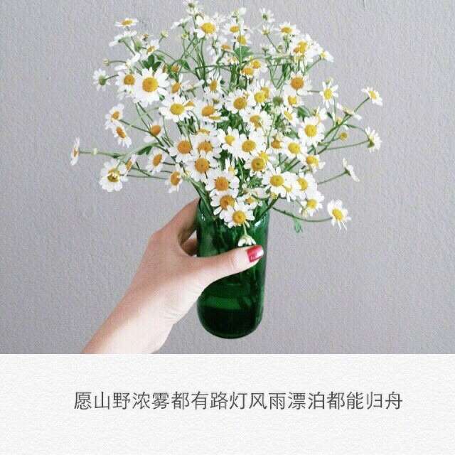 每日精选