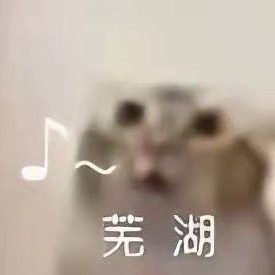 文学人士的吐槽