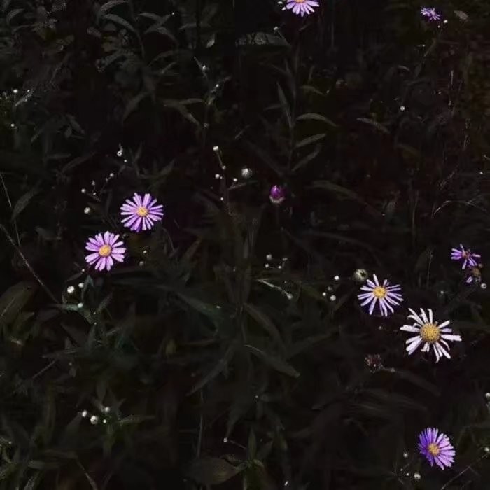 加油！