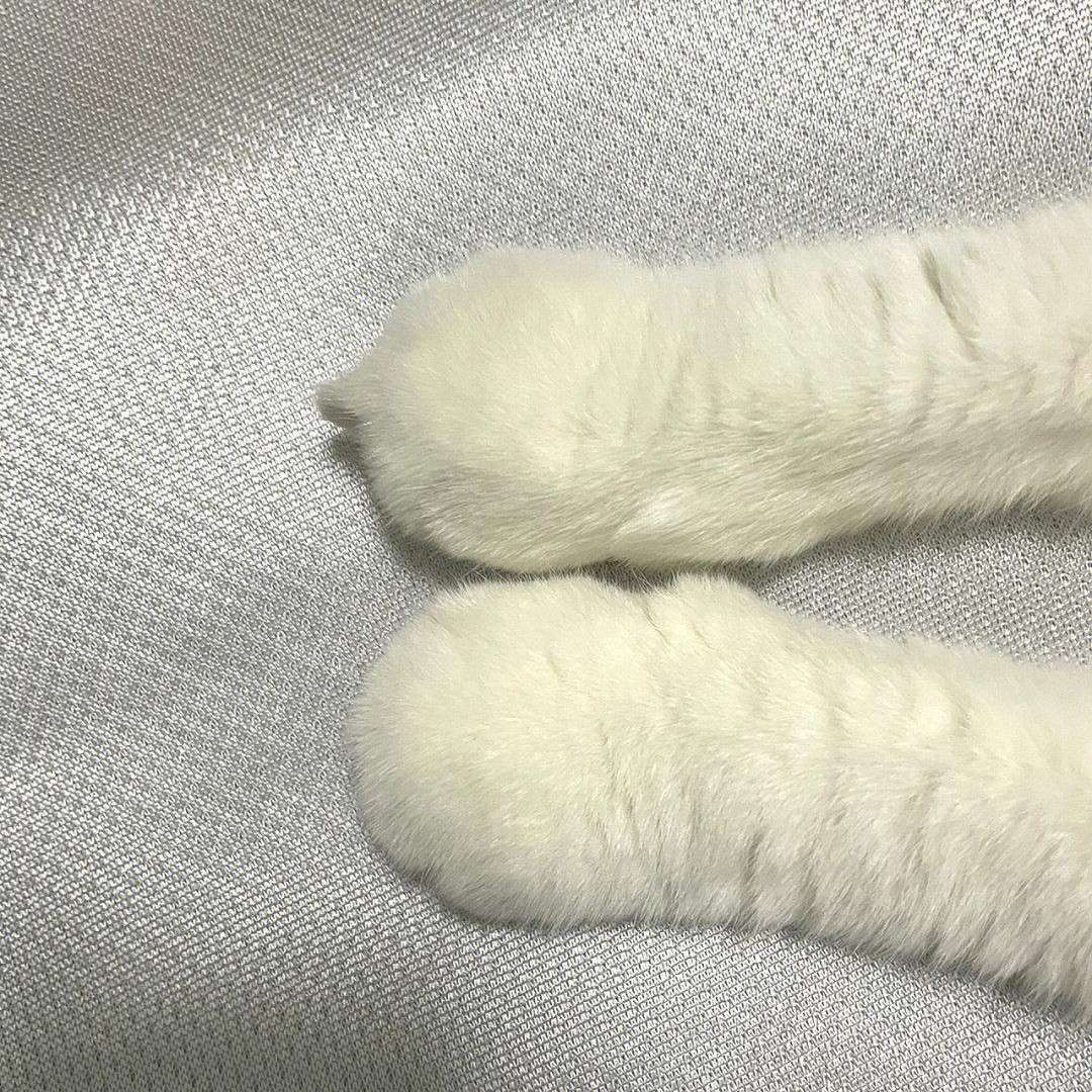 hiko的专辑