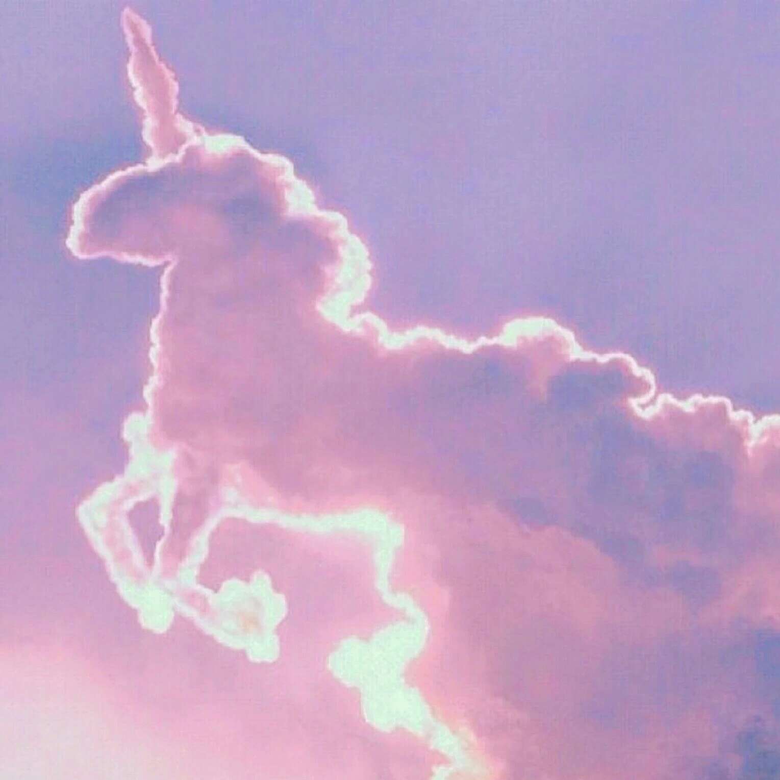 句子