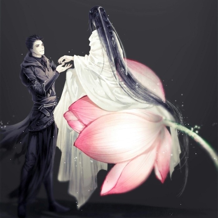 收集录