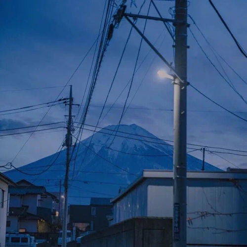 杂