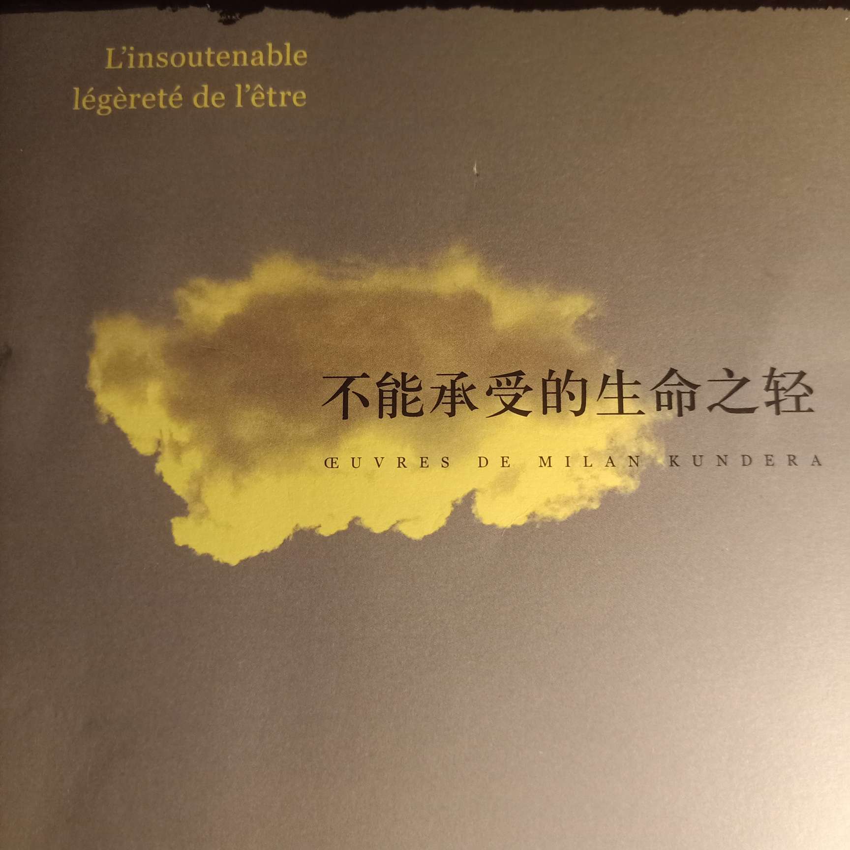 不能承受的生命之轻