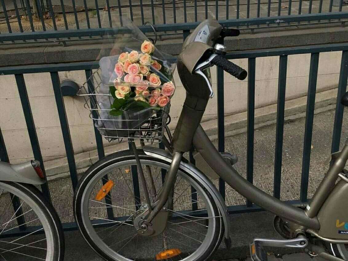 浪漫至死不渝