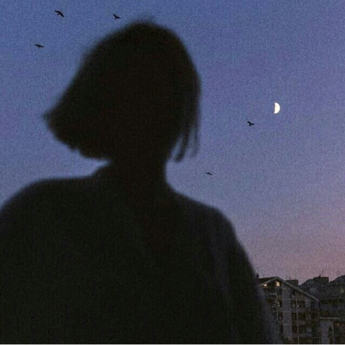 文学积累