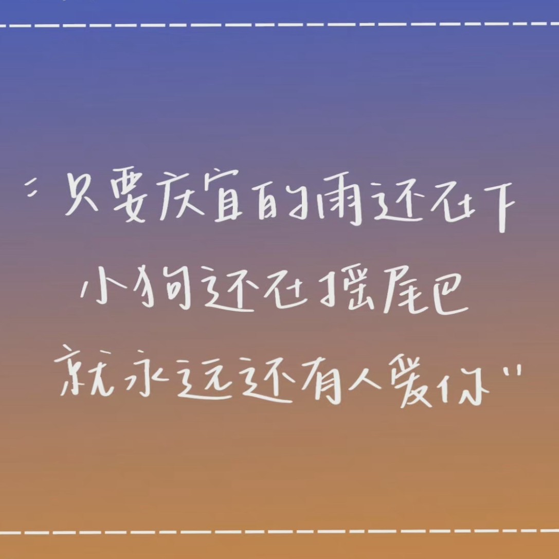 小说金句