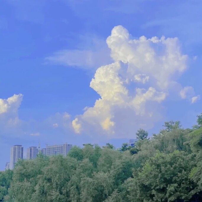 卿卿日常