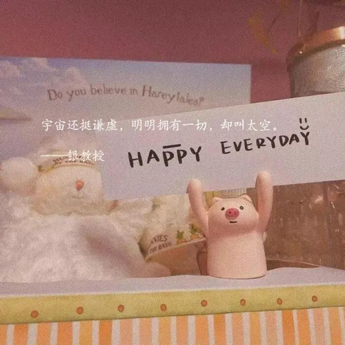 猫小姐的专辑