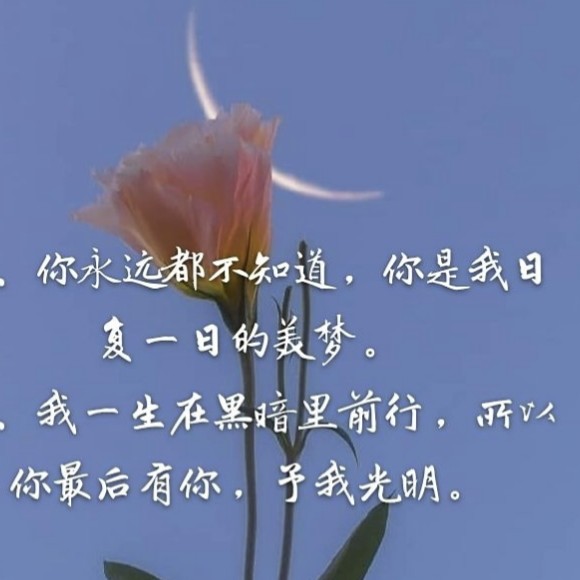 小说