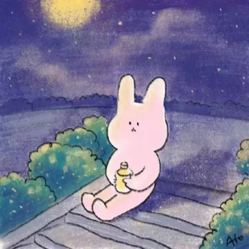 ✨