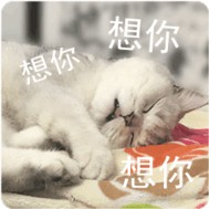 情