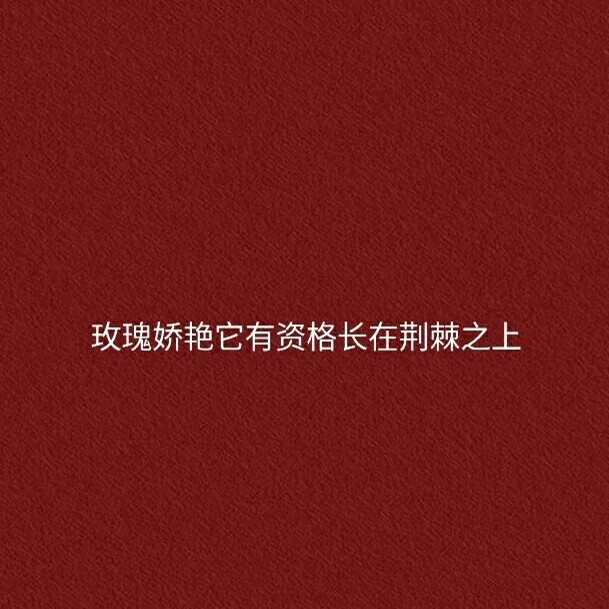 言羽的专辑